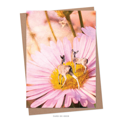 Greeting Cards